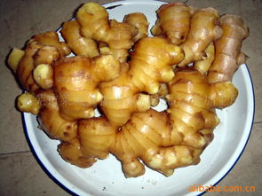 萊蕪市萊城區振興農副產品綜合加工廠 推動農副產品精深加工，助力鄉村振興