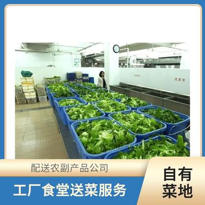 東莞蔬菜配送服務 保障新鮮農(nóng)副產(chǎn)品直達餐桌