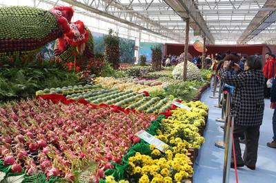 臺灣特色農(nóng)產(chǎn)品首次亮相北京農(nóng)業(yè)嘉年華