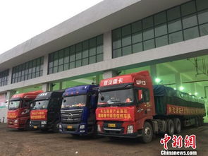 ?？诖笮凸嫘赞r副產品批發市場啟動試運營，39家一級批發商入駐開啟惠民新篇章