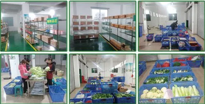 煜鮮農副產品配送 從田間到餐桌，守護您的每一餐新鮮